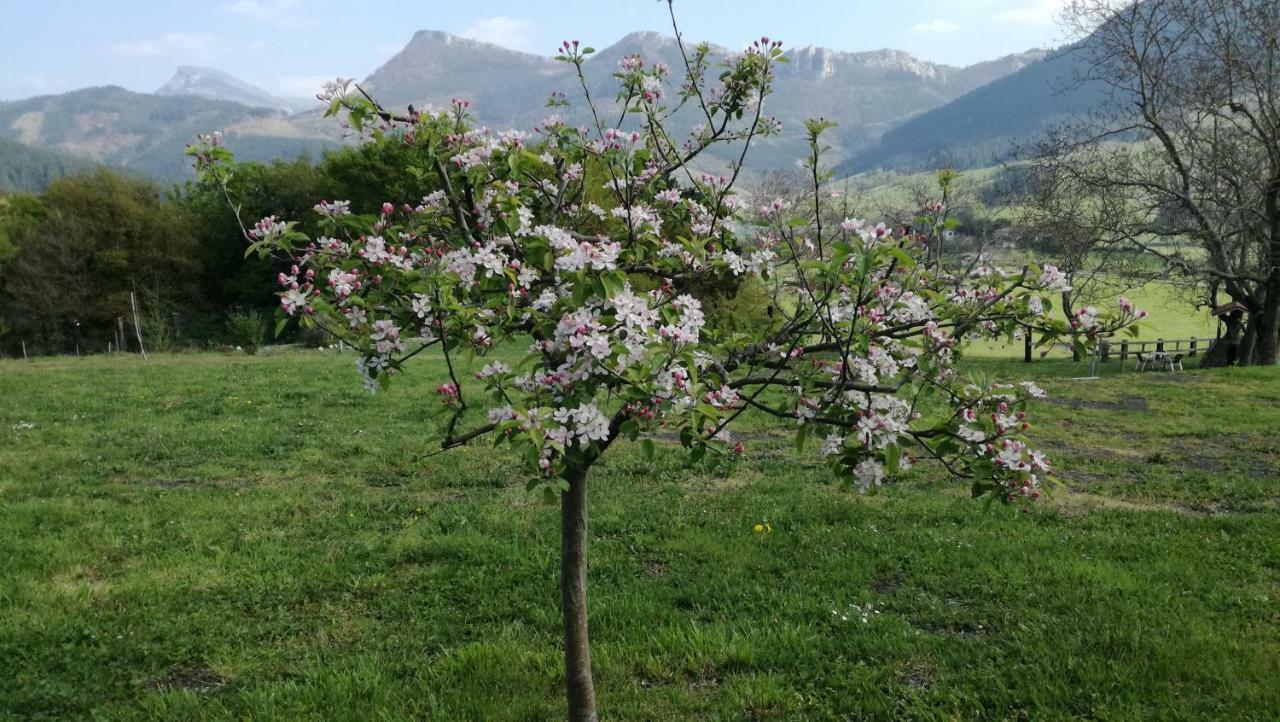 Casa Rural Urkulu Landetxea Arechavaleta Luaran gambar